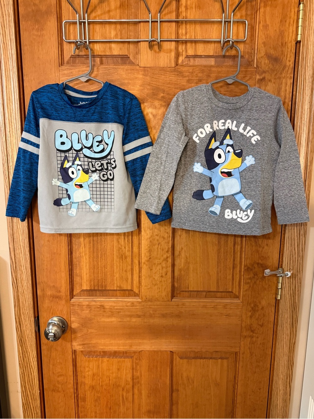 Bluey long sleeved tees